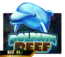 ทดลองเล่น Dolphin Reef